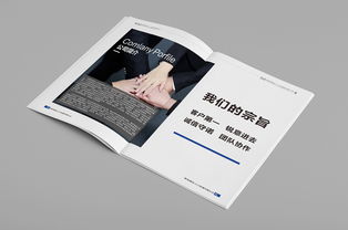 某人力资源公司画册设计赏阅图