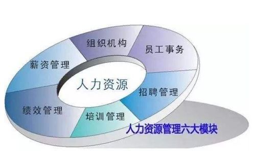 人力资源管理中的五个W一个H 解析其核心要义