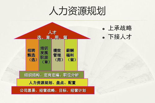 人力资源规划 构筑企业发展的战略性基石